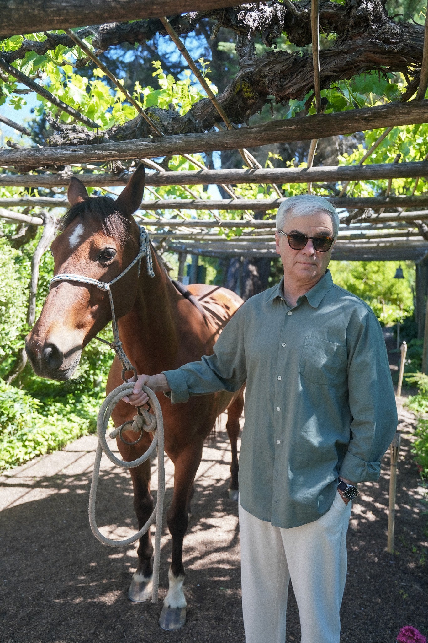 Camisa Lino Niza Clásica Verde Olivo